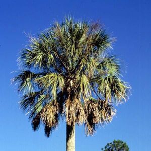 Meet your Posher, Jerry